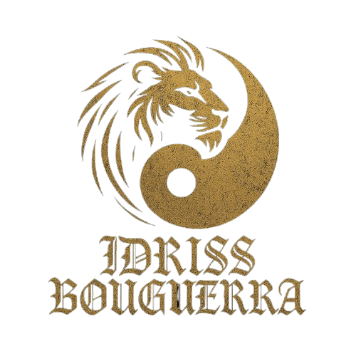 idrissbouguerra logo